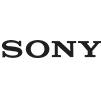 svg icon